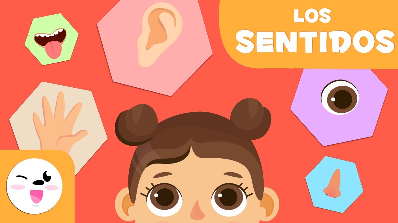 Sentidos del cuerpo: 7 formas de potenciar tu bienestar hoy 16 sentidos del cuerpo